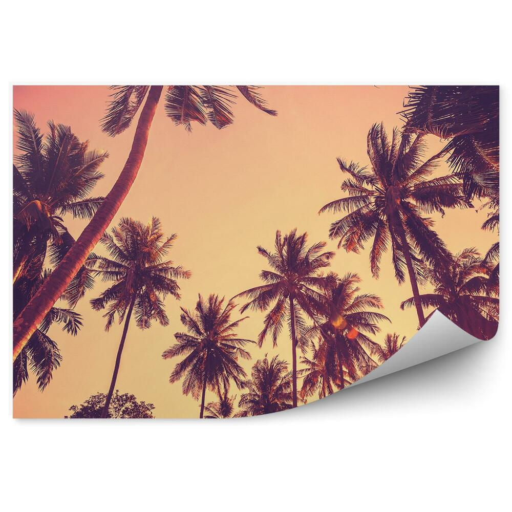 Fototapeta na ścianę Sylwetki palm o zachodzie słońca vintage