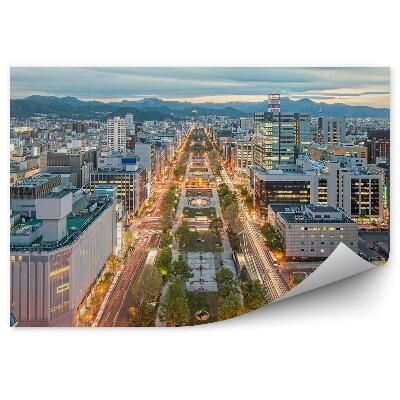 Fototapeta Sapporo japonia budownictwo architektura