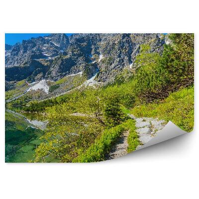 Okleina ścienna Ścieżka wśród zieleni szmaragdowa woda góry
