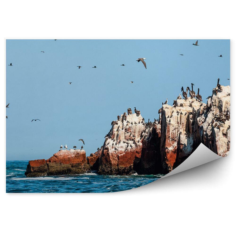 Okleina ścienna Rezerwat narodowy paracas ptaki ocean niebo