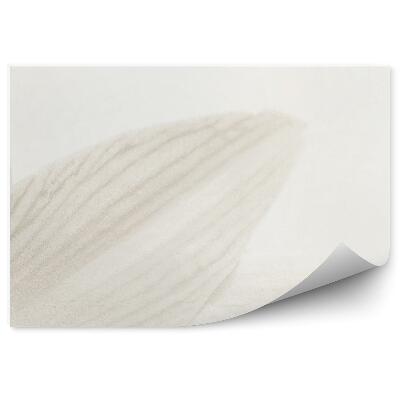 Fototapeta na ścianę Szare płatki lilie białe tło