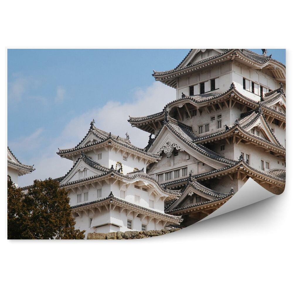 Fototapeta Biały zamek japonia natura