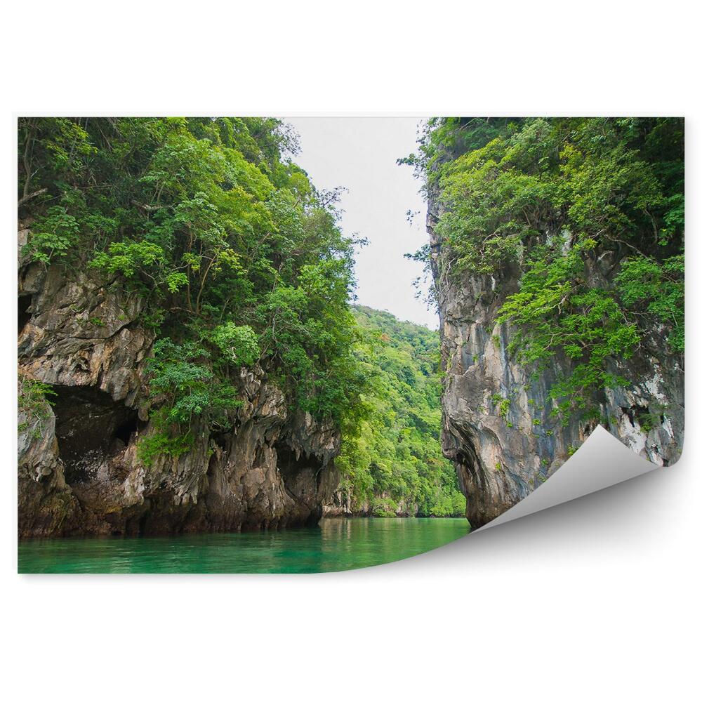 Fototapeta na ścianę Tajlandia zielona laguna drzewa