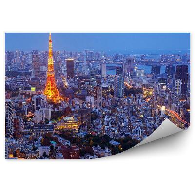 Okleina na ścianę widok z lotu ptaka nocy Tokio