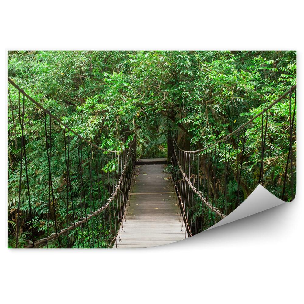 Okleina na ścianę Most wiszący w lesie zieleń drewno