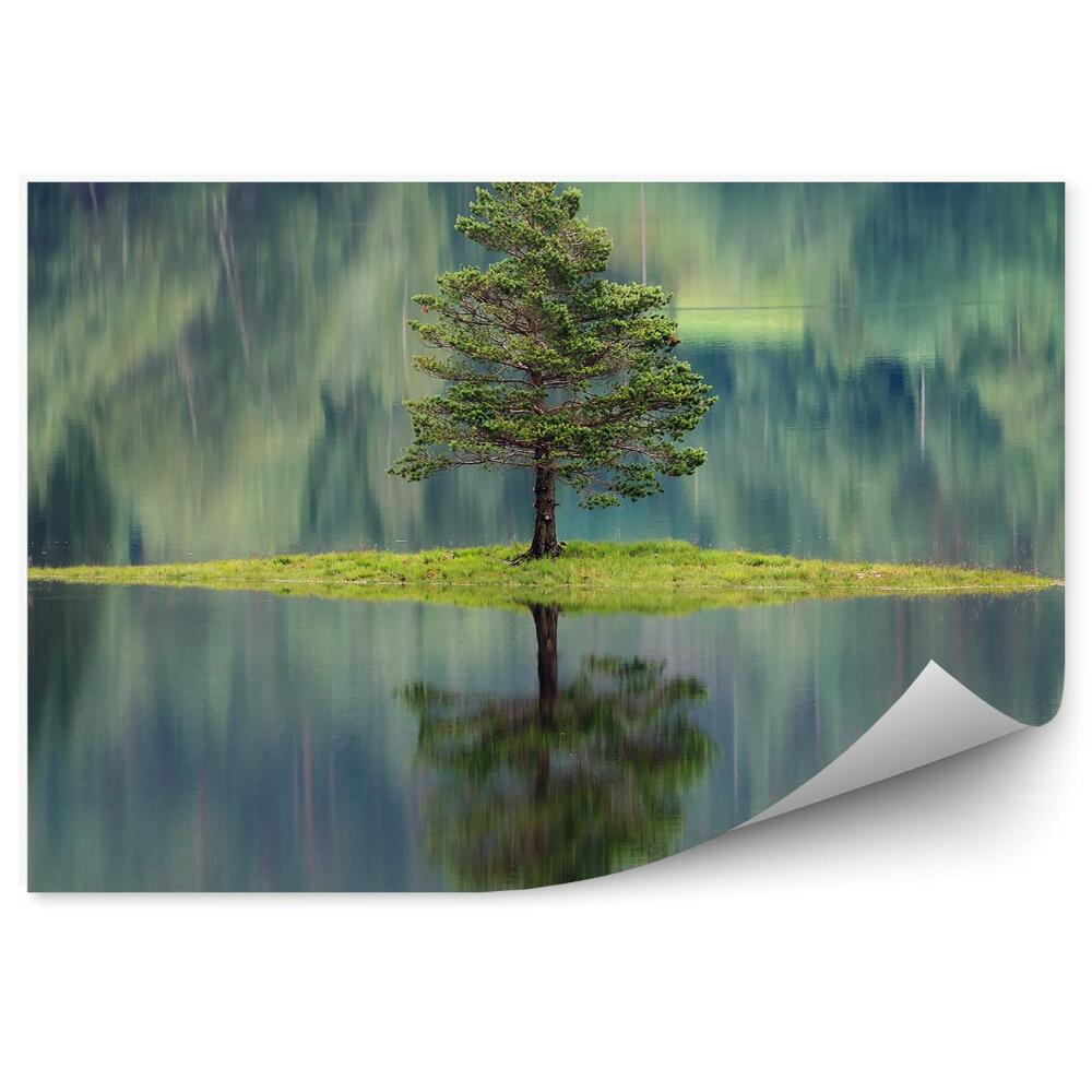 Fototapeta na ścianę Mała wysepka z jednym drzewem woda odbicie