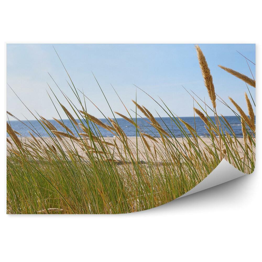 Okleina ścienna Zielona trawa na tle błękitnego morza plaża