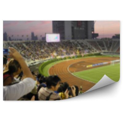 Fototapeta na ścianę Rozmazane zdjęcie na stadion piłkarski
