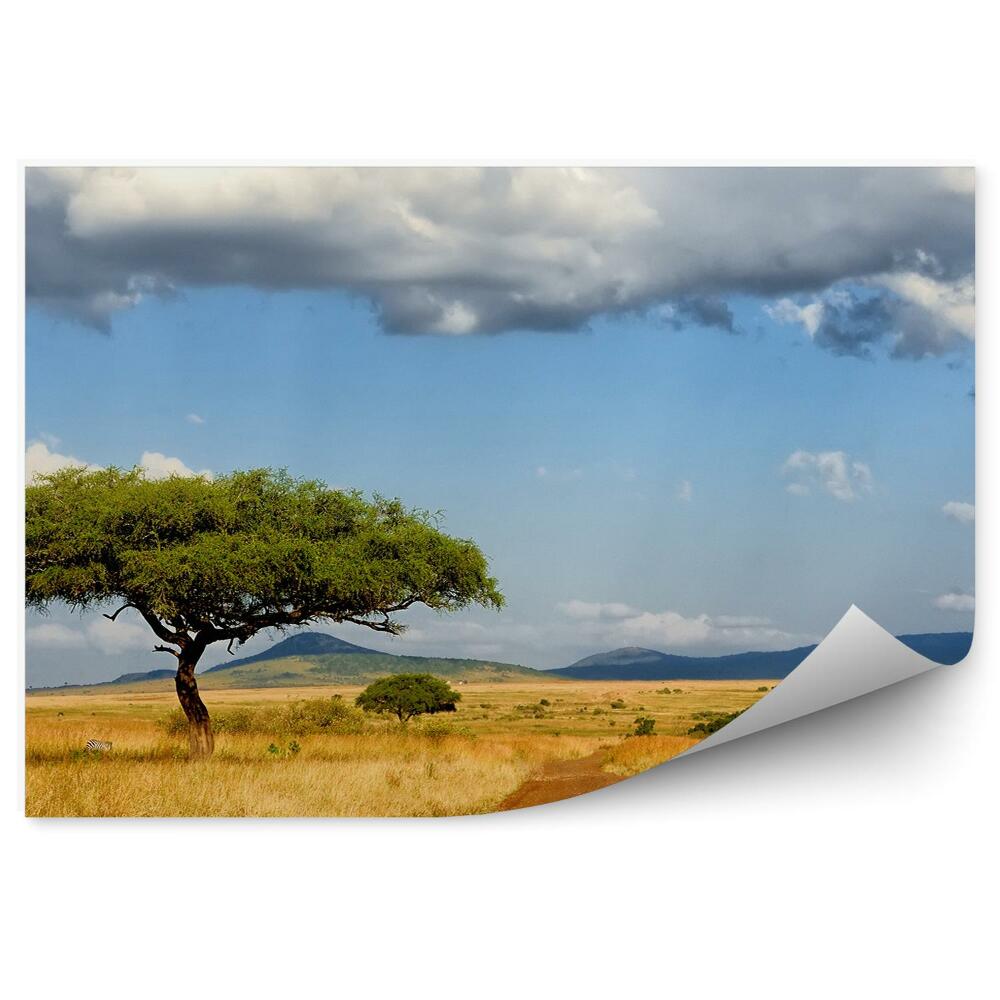Fototapeta Drzewa zebry droga trawa sawanna niebo chmury
