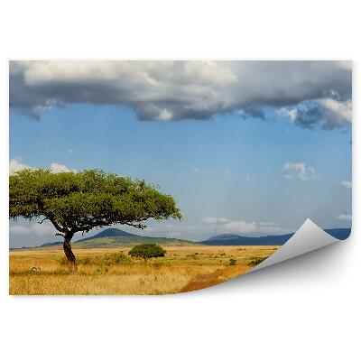 Fototapeta Drzewa zebry droga trawa sawanna niebo chmury