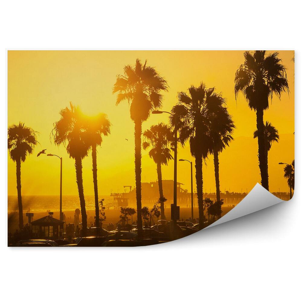 Fototapeta zachód słońca palmy samochody plaża Los Angeles