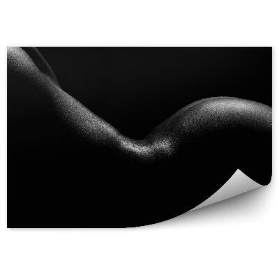 Fotopeta Sylwetka nagiej kobiety plecy pośladki