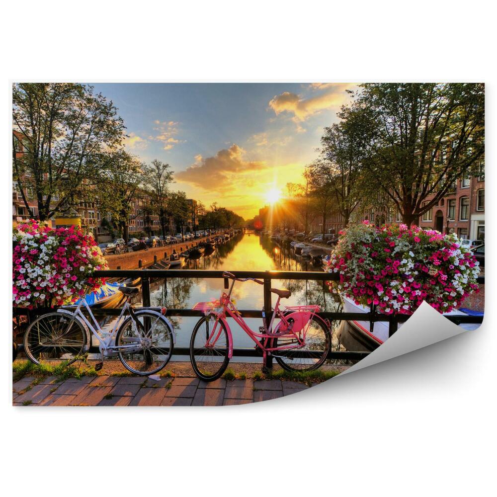 Fototapeta Piękny wschód słońca nad amsterdamie holandia z kwiatami i rowerów na moście na wiosnę