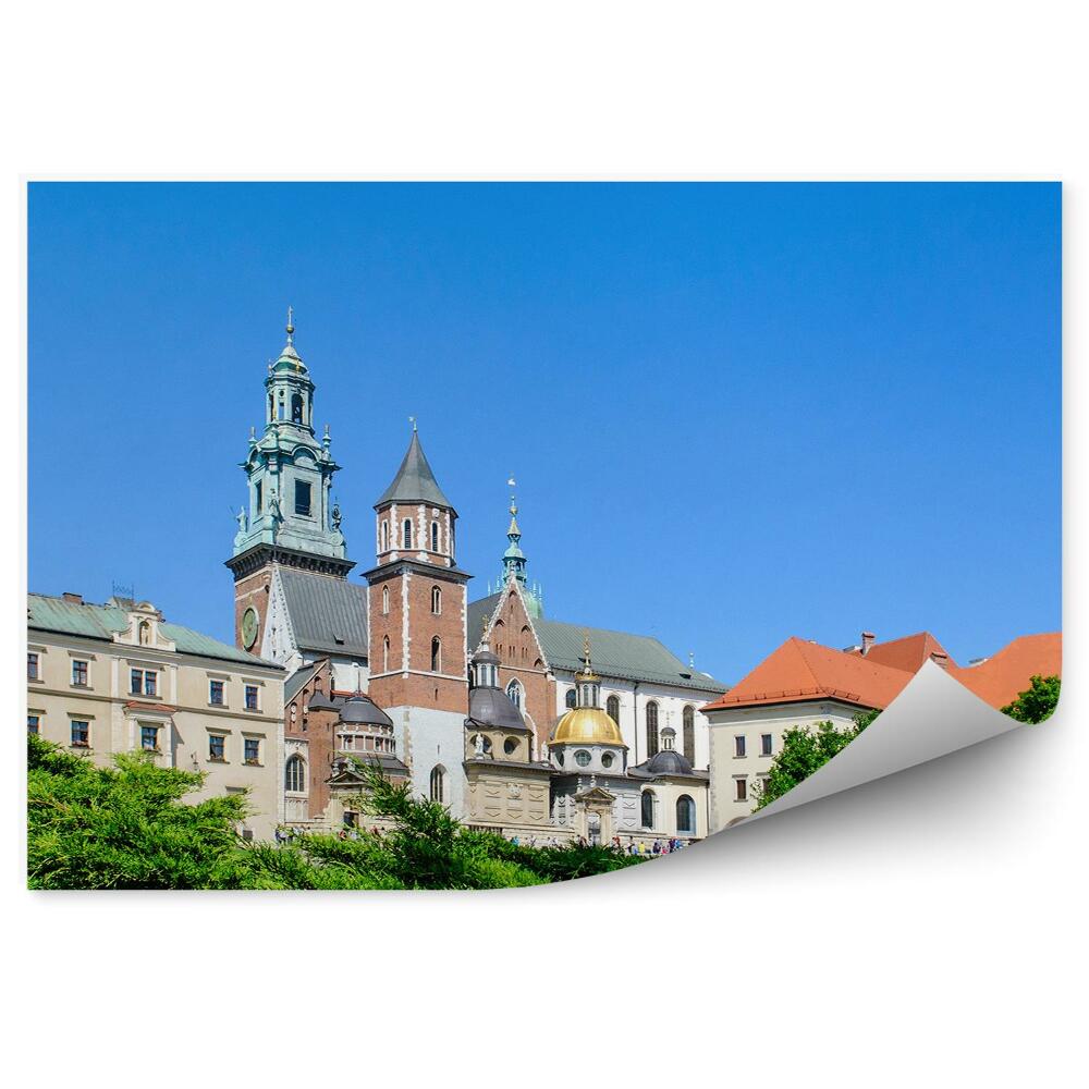 Fototapeta na ścianę katedra Wawel drzewa rośliny niebo Kraków