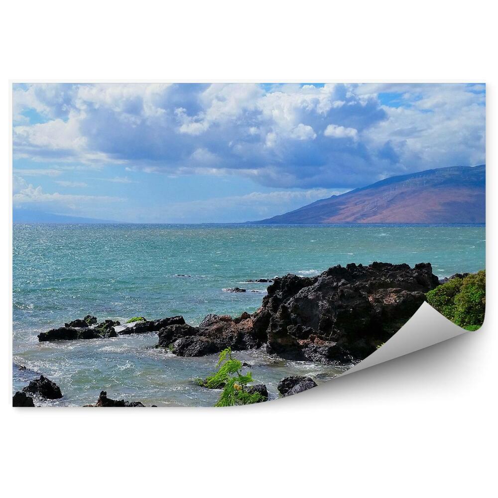Fototapeta dżungla skały ocean góry niebo chmury Hawaje