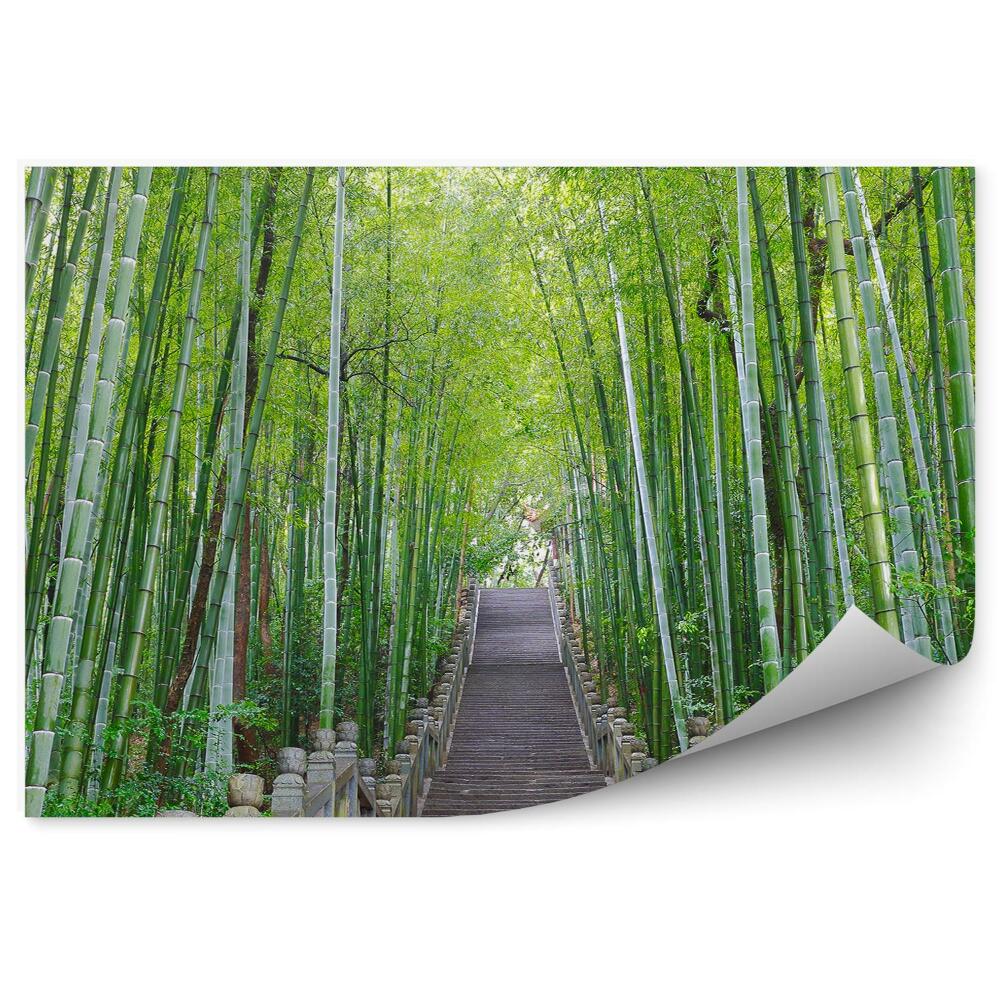 Okleina ścienna Schody kamienne las bambusowy drzewa