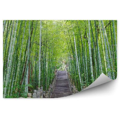 Okleina ścienna Schody kamienne las bambusowy drzewa