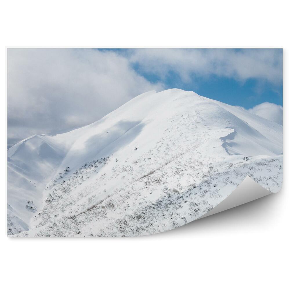 Okleina na ścianę Góry feathertop alpy śnieg zima niebo chmury