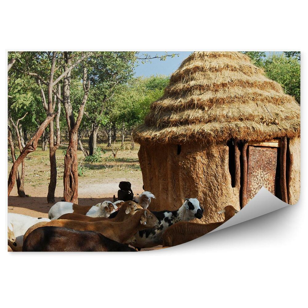 Okleina na ścianę wioski Himba tradycyjna afrykańska chata kozy drzewa