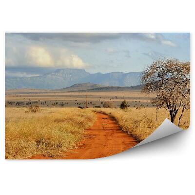 Fototapeta Szosa droga piasek sucha trawa roślinność wzgórza