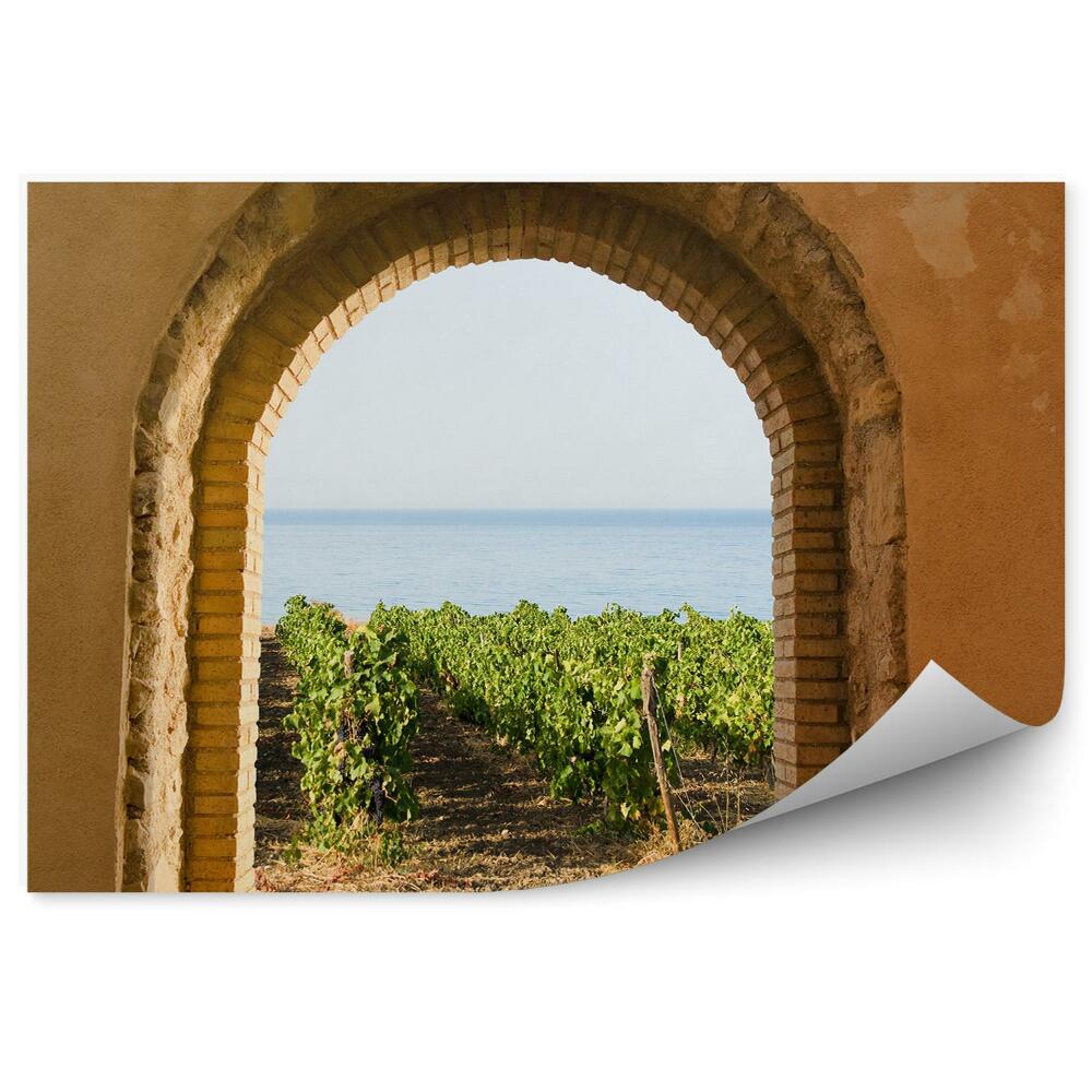 Fototapeta na ścianę Widok przez kamienne okno na winnicę