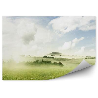 Okleina ścienna Zielona łąka rośliny mgła niebo