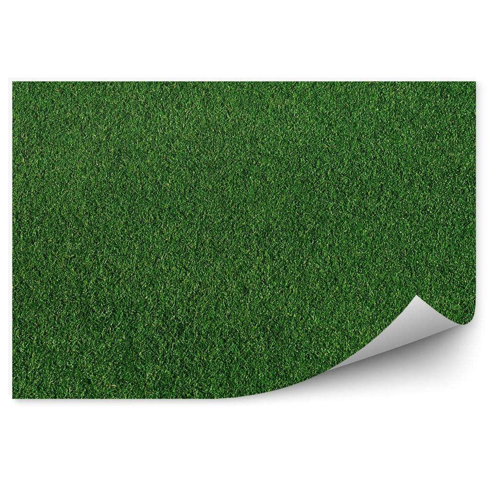Okleina ścienna Sztuczna trawa zieleń