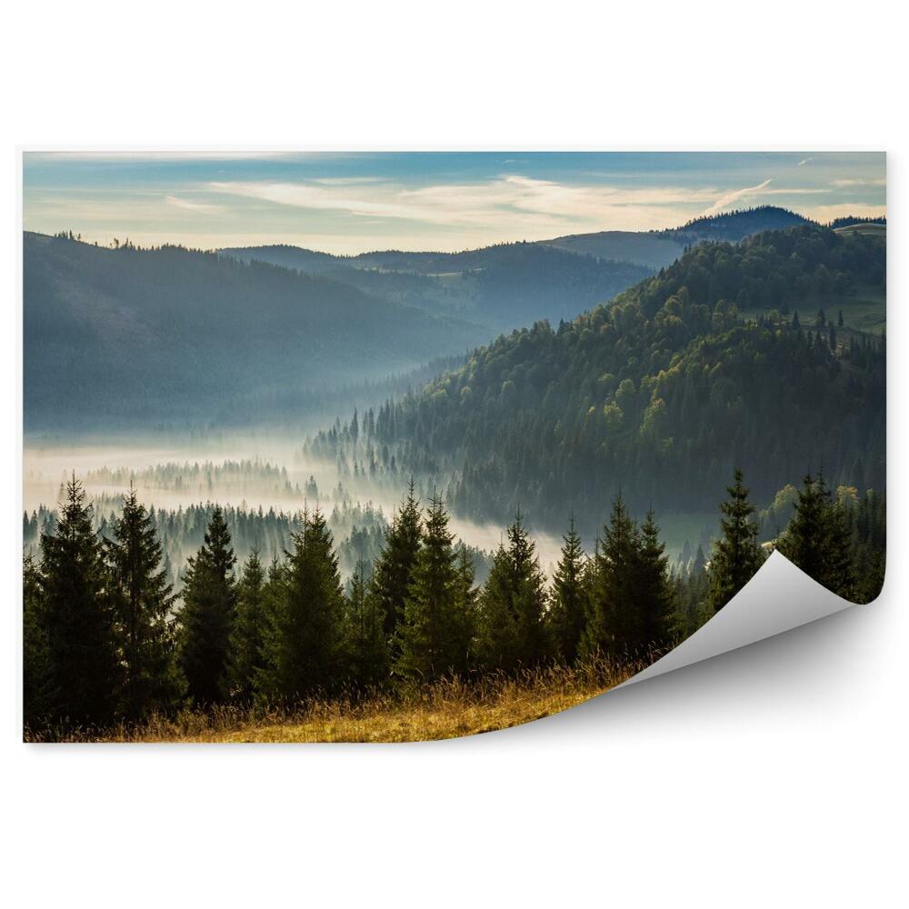Fototapeta Iglasty las w mglistych górach o wschodzie słońca