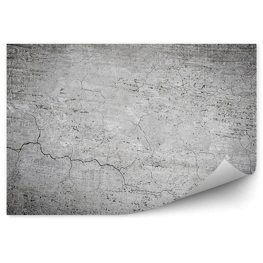 Fototapeta samoprzylepna Spękana betonowa ściana