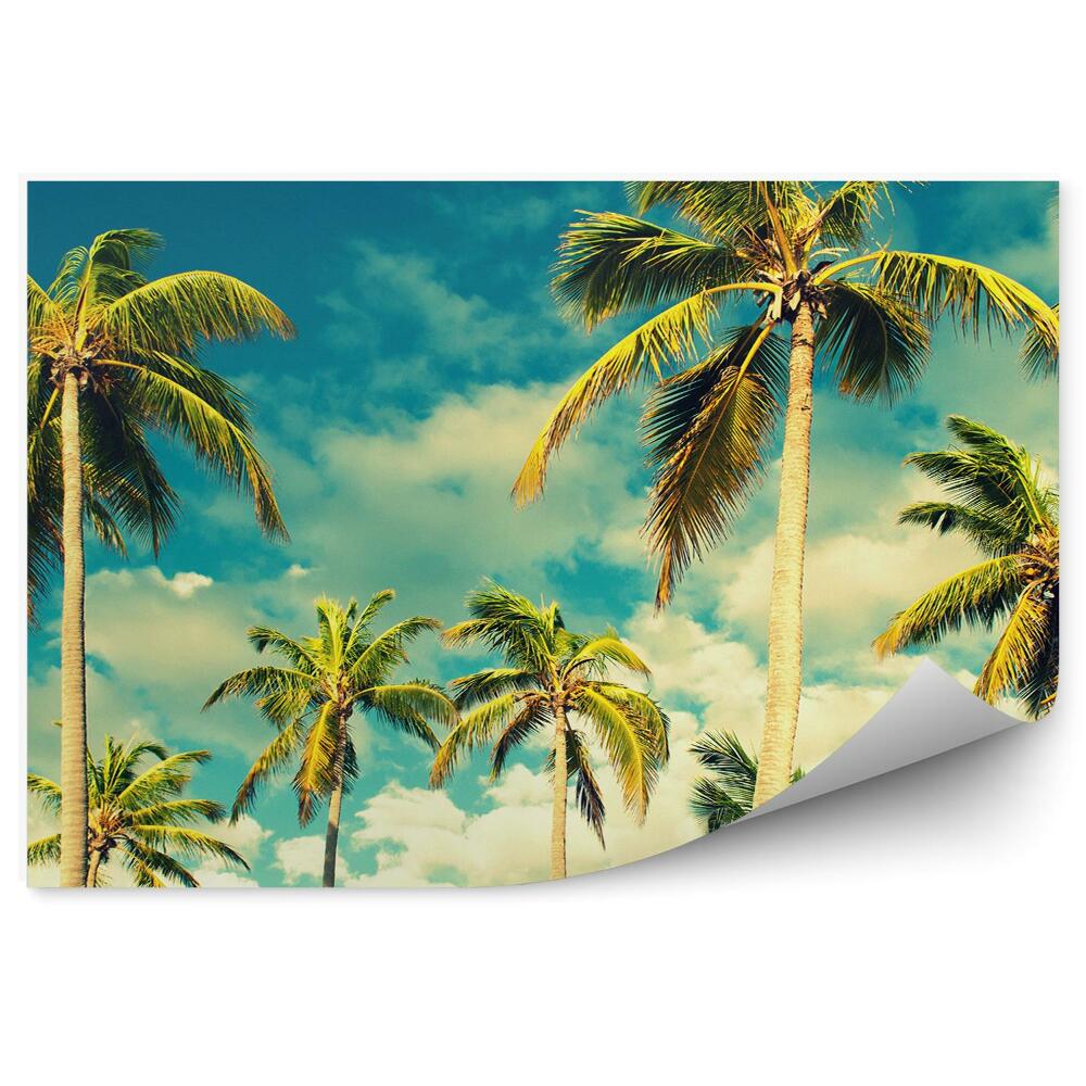 Fototapeta na ścianę Tropikalne niebo i palmy