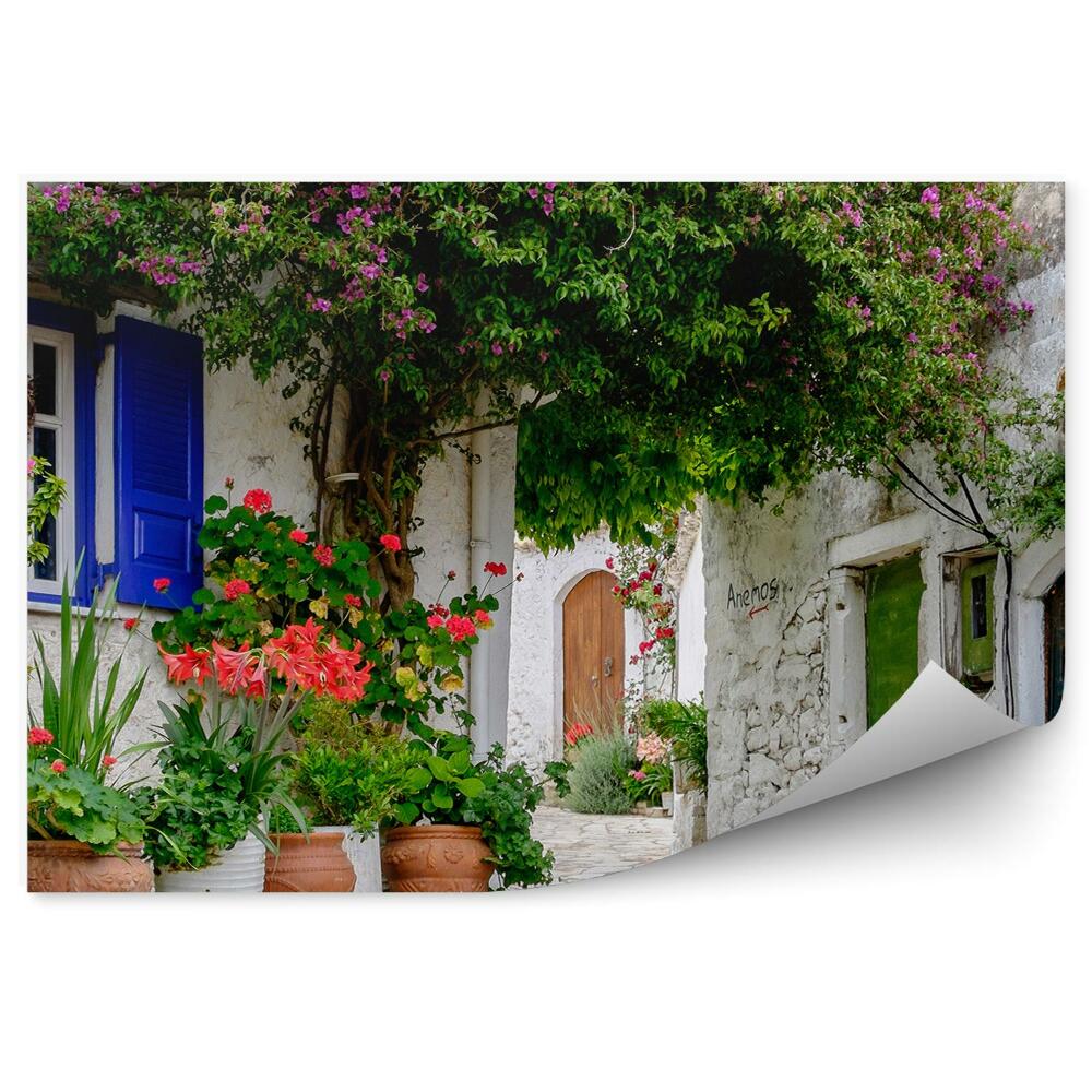Okleina na ścianę ogród budynki kwiaty doniczki alejka Korfu Grecja