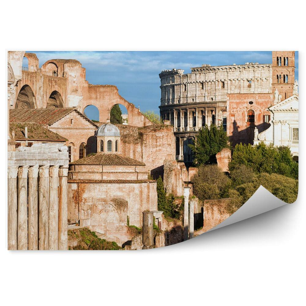 Fototapeta Włochy stare miasto zabytki drzewa rzym