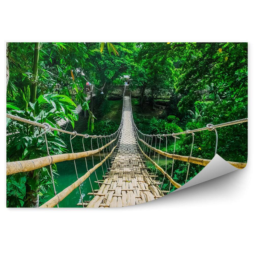 Okleina ścienna Zawieszony most nad rzeką drzewa bambus
