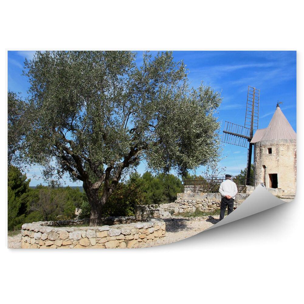 Fototapeta na ścianę wiatrak Prowansja ludzie skały drzewa niebo Francja