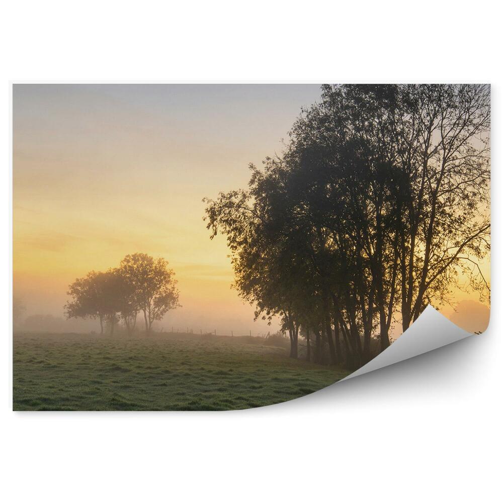 Fototapeta na ścianę Jesienny krajobraz mgła drzewa polana