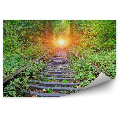 Okleina na ścianę Las tory kolej podróż słońce natura