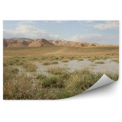Okleina ścienna Pustynia trawa jezioro góry niebo chmury