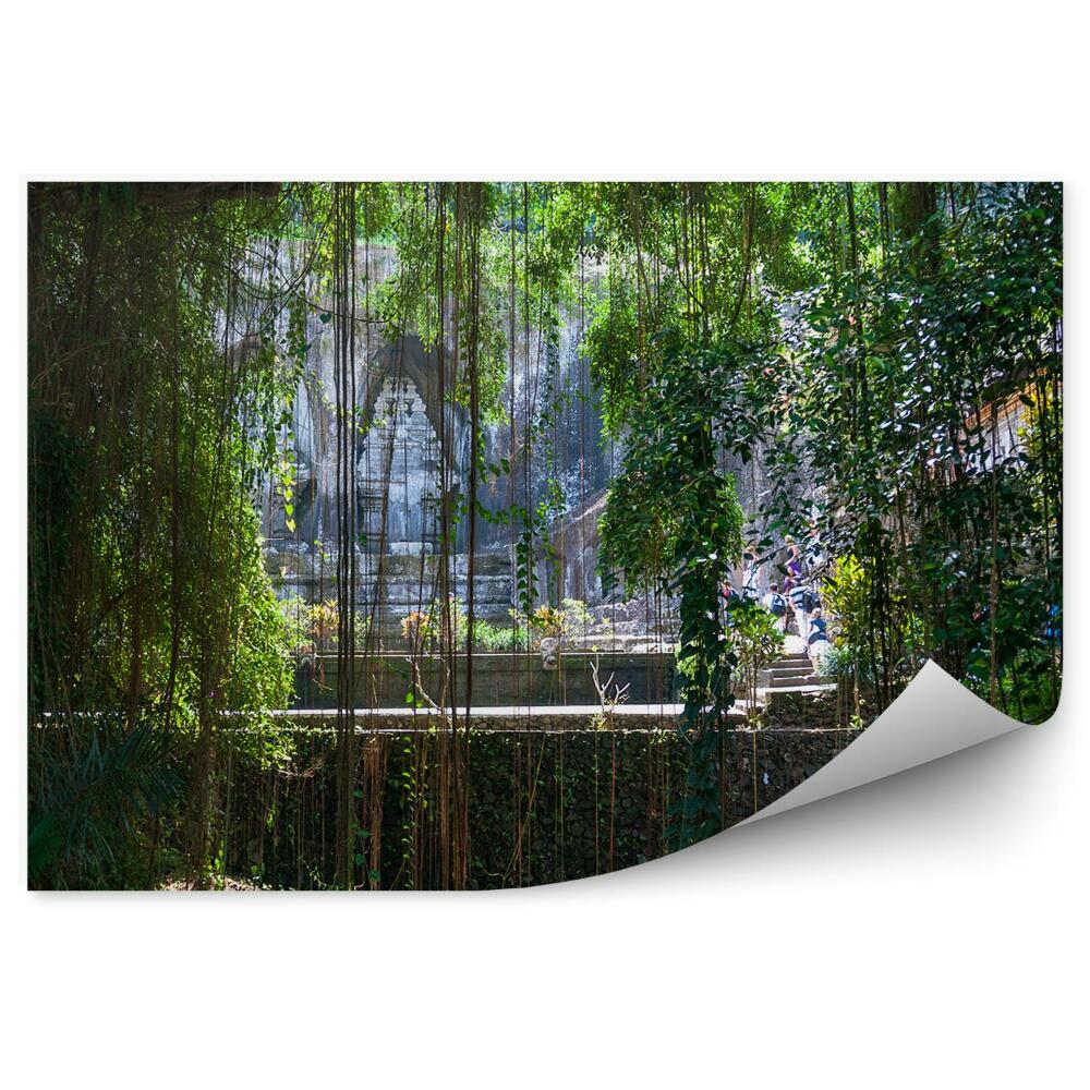 Okleina ścienna Świątynia dżungla liany drzewa