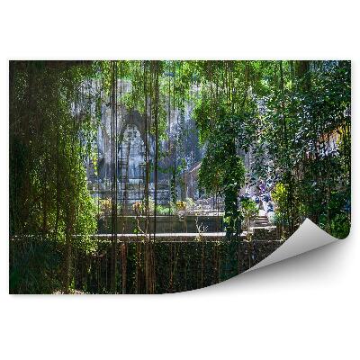 Okleina ścienna Świątynia dżungla liany drzewa