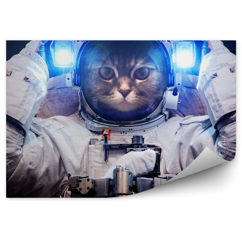 Fototapeta Piękny kot astronauta przestrzeń kosmiczna światła planeta ziemia