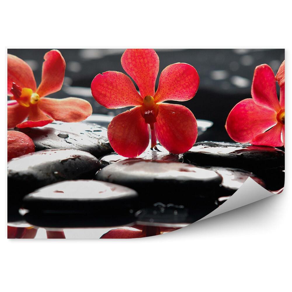 Fototapeta na ścianę Czerwone kwiaty orchidei kamienie woda
