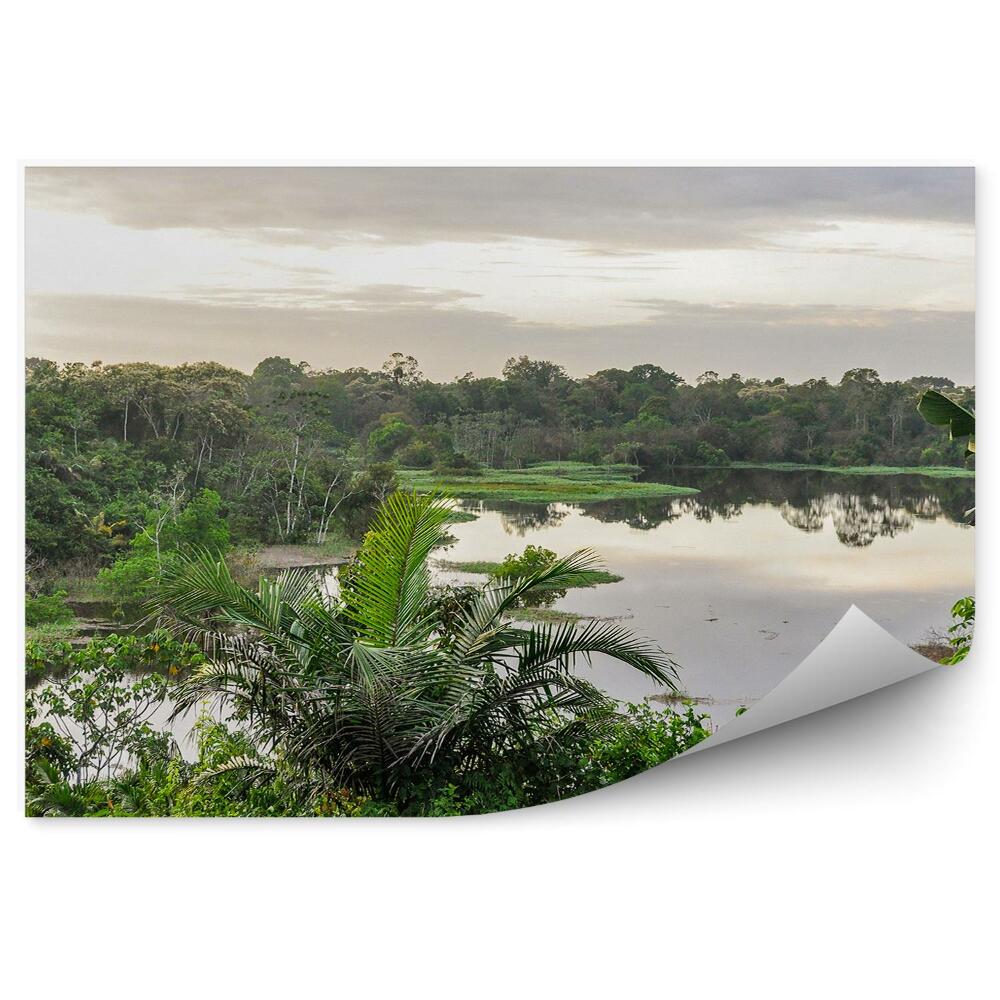 Okleina na ścianę liście palmy dżungla Amazonia drzewa zieleń jezioro
