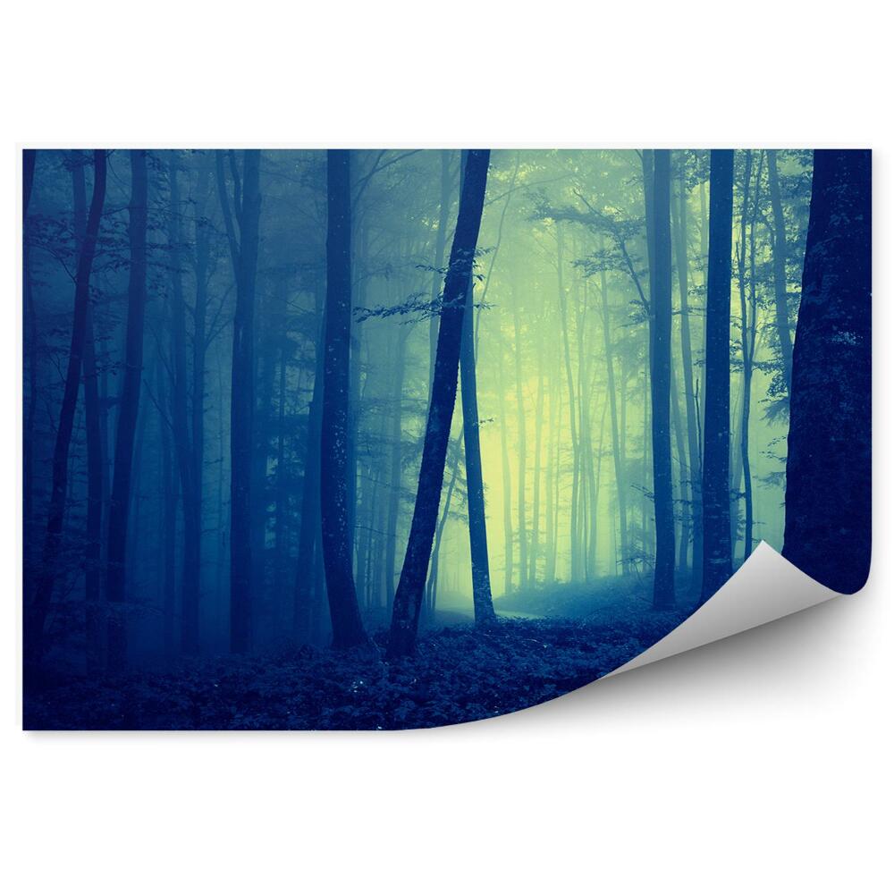 Okleina ścienna Ciemnoniebieski las mgła