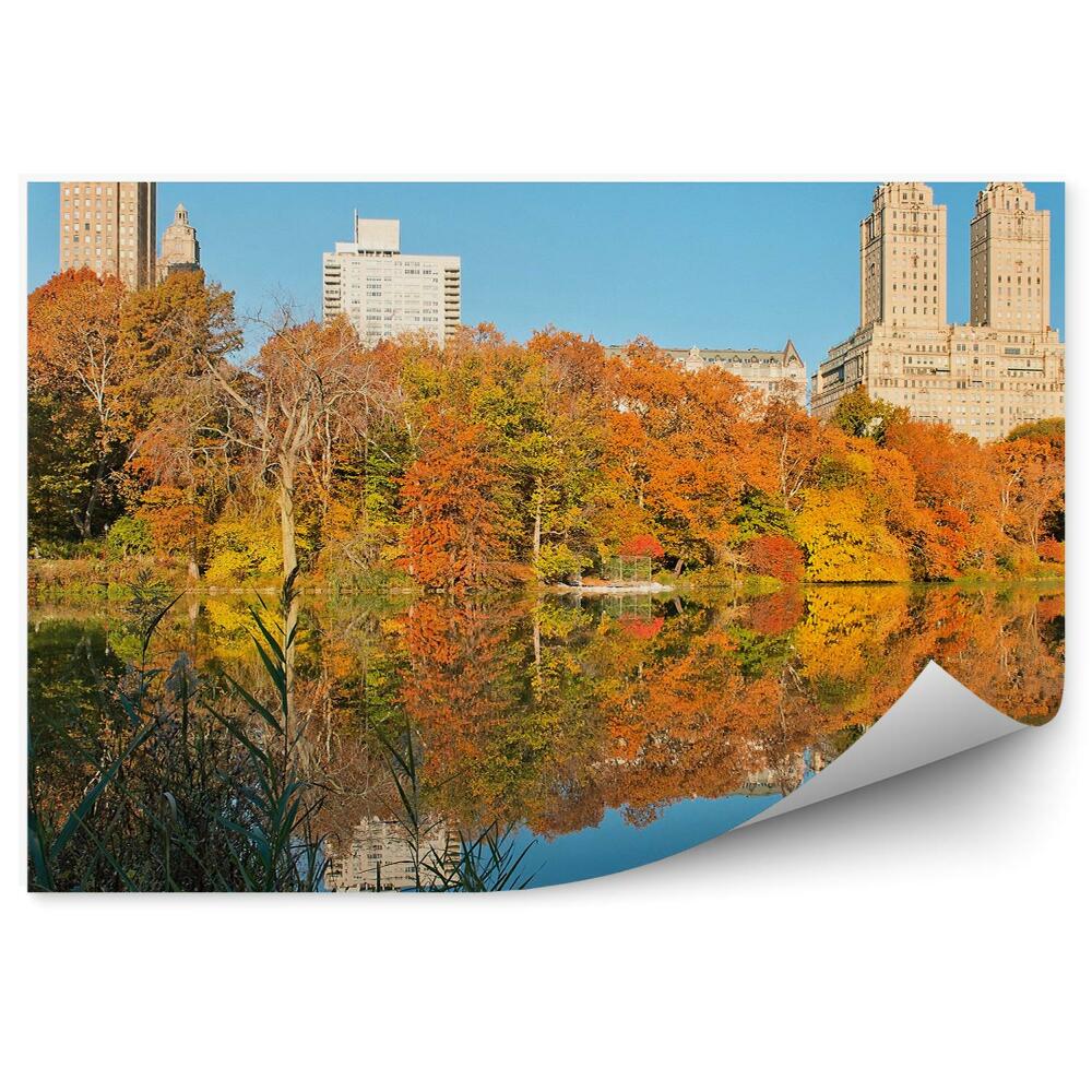Fototapeta central park jesień domy wieżowiec rzeka Nowy Jork cienie