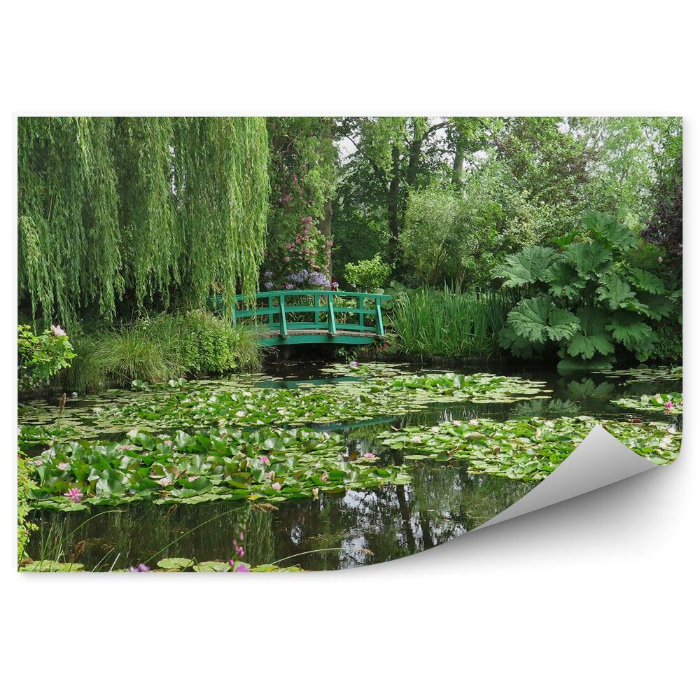 Okleina ścienna Zieleń roślinność park most nad wodą lilie wodne