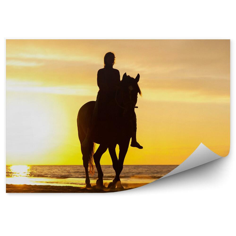 Okleina na ścianę Dziewczyna koń sylwetka Bałtyk plaża