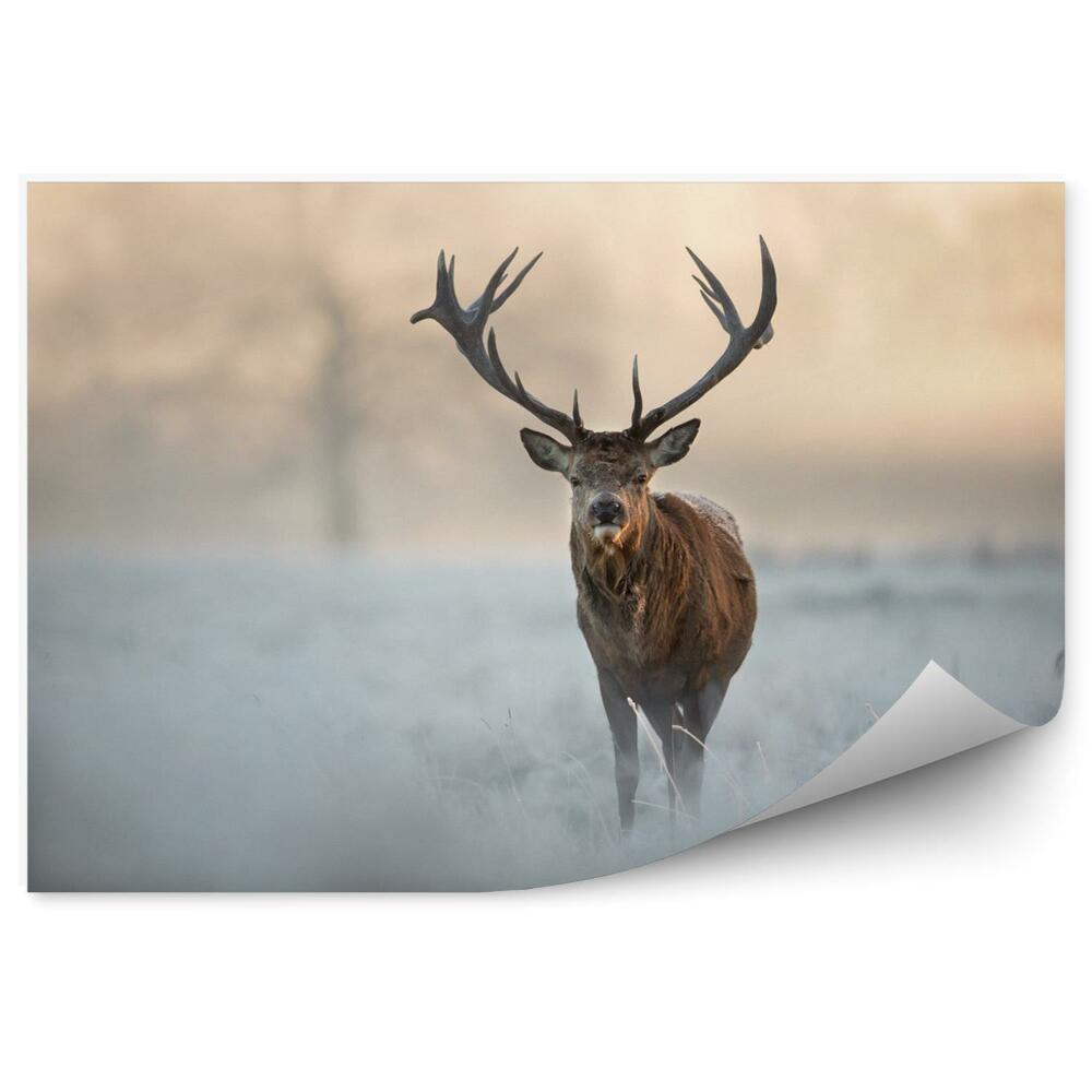 Fototapeta Jeleń w zimowym krajobrazie