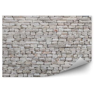 Fototapeta samoprzylepna Kamienna łupkowa ściana