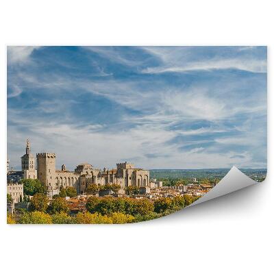 Fototapeta Panorama stare miasto pałac papieski widok drzewa rośliny niebo chmury