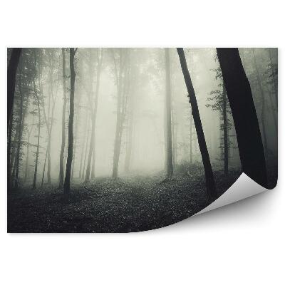 Okleina ścienna Mglisty las sepia